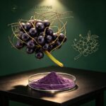 Acai Berry Extract