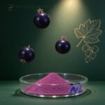 Black Currant Extract