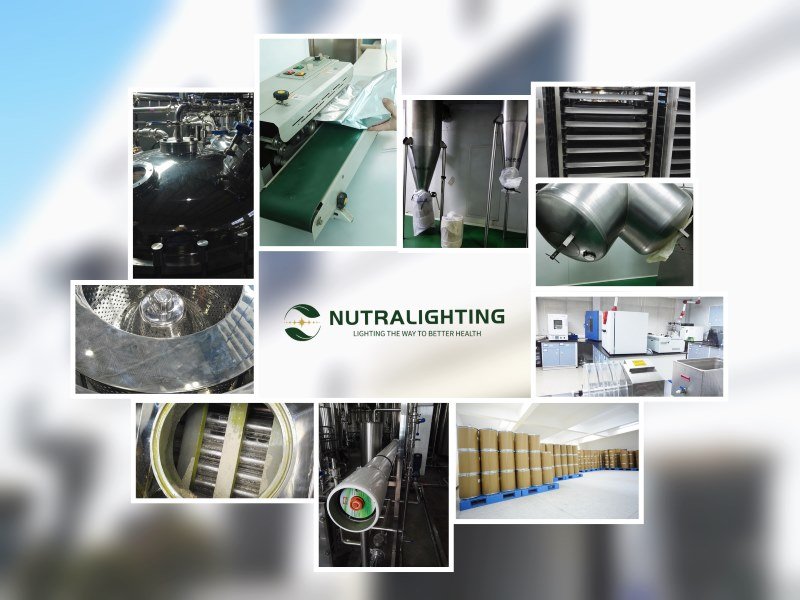 Inside Nutralighting Factory