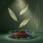 Senna Leaf Extract