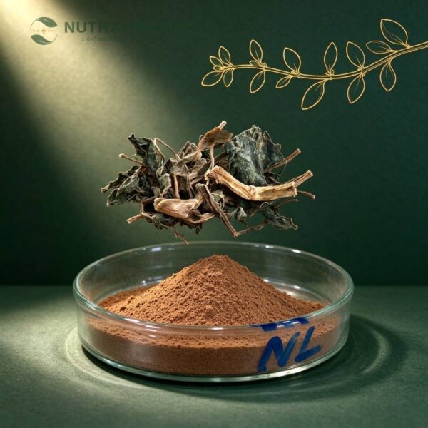 Bacopa Monnieri Extract