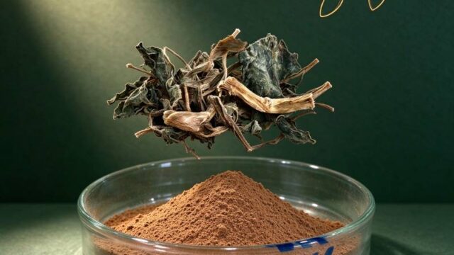 Bacopa Monnieri Extract