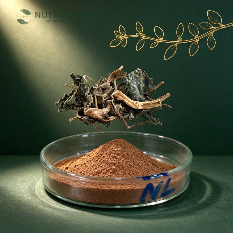 Bacopa Monnieri Extract