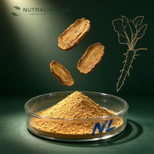 Burdock Root Extract