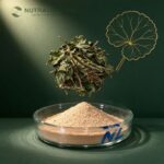 Centella Asiatica Extract