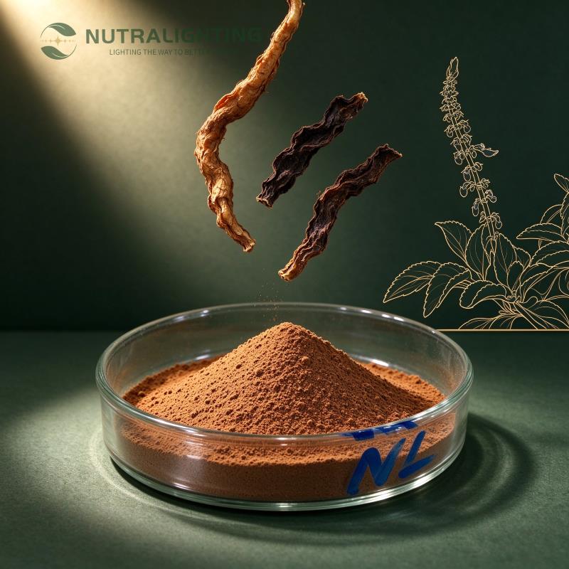 Coleus Forskohlii Extract