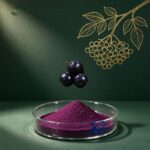 Elderberry Extract