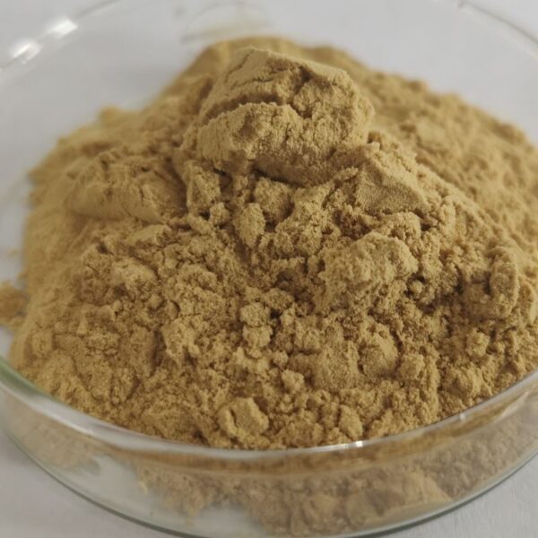 Fenugreek Extract powder