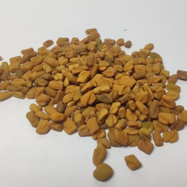 Fenugreek Seed