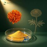 Marigold Extract