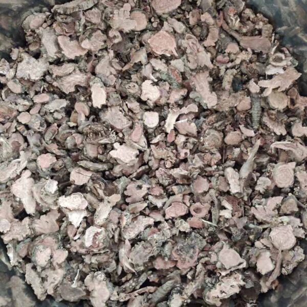 Rhodiola rosea root slices