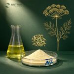 Fennel Extract