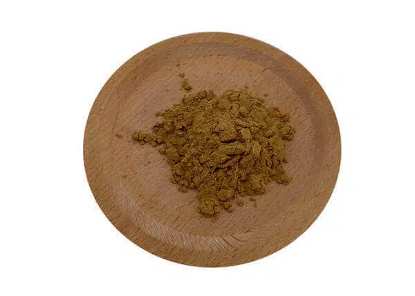 Artichoke-Extract-Powder