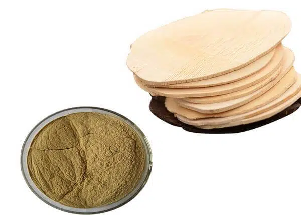 tongkat-ali-extract-powder